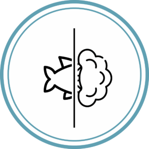 halételek és vegetáriánus fogások