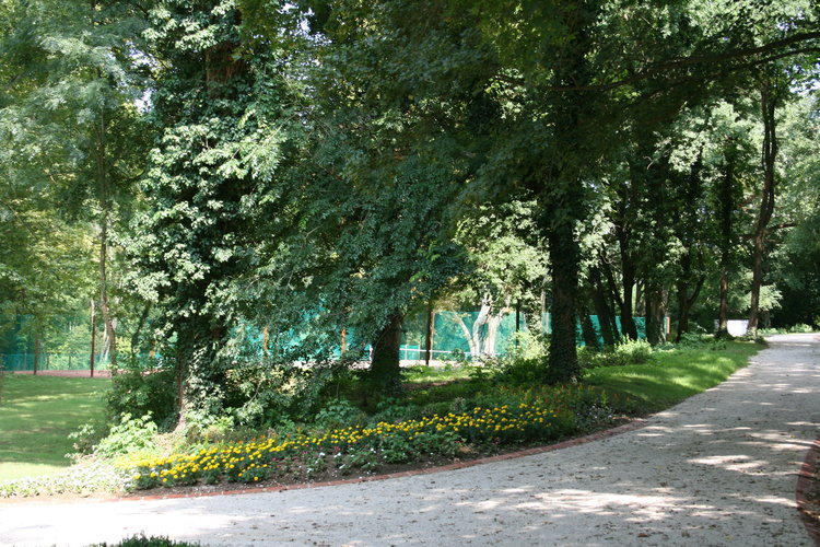 Disznótoros Bogáton 